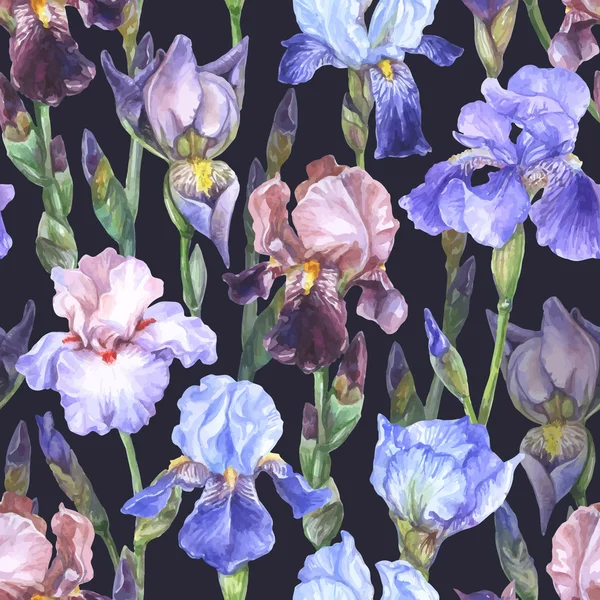 Acuarela patrón sin costura flores de iris — Archivo Imágenes Vectoriales