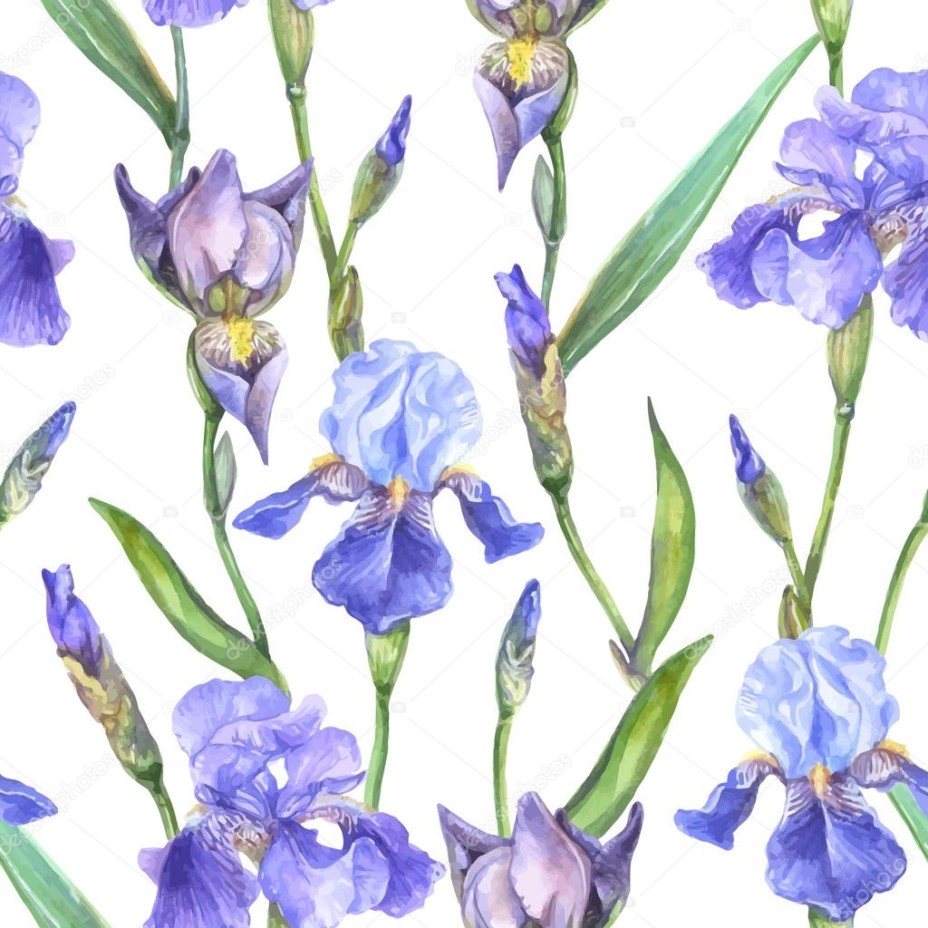 Watercolor seamless pattern iris flowers