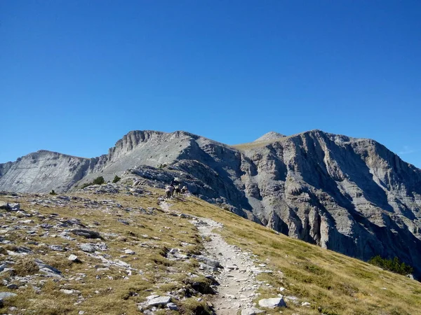 Olimpos Dağı 'na çıkan yürüyüş yolunda yüklenmiş katırlar _ Yunanistan