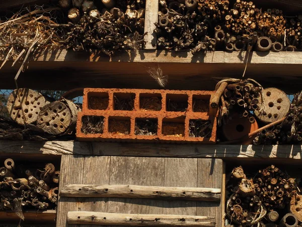 Böcek Oteli 'nin yakın çekim detayları. Parktaki böcekler için insan yapımı ev.