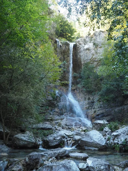 Ege Denizi 'ne bakan Serifos kıyısındaki kayalık bir burunda keçiler.