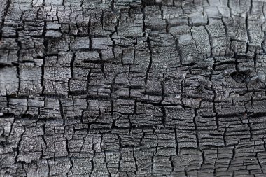 Ayrıntılar yüzey dokusunu yanık ahşap desenli