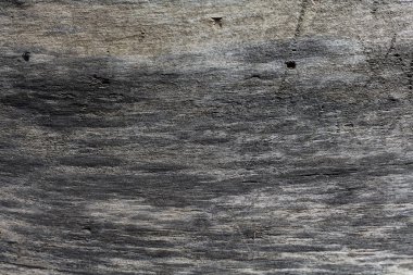 ahşap arka plan. Ahşap doku kesme ağaç gövdesi, yakın çekim