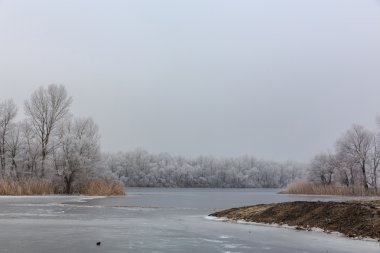 soğuk sahil. Köyün kışın. gölde buz