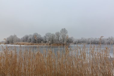 Gölde forest.ice kışın
