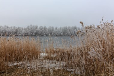Gölde forest.ice kışın