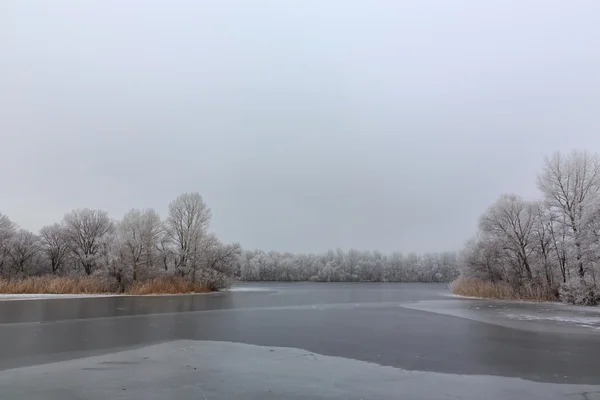 Inverno frio.ice no lago. Ilha solitária — Fotografia de Stock
