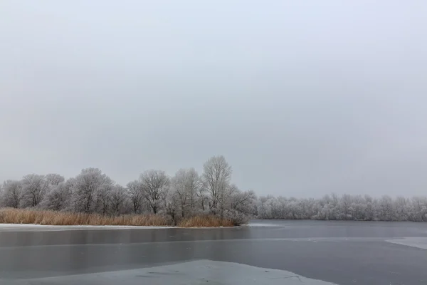 Kalla winter.ice på ön lake.lonely — Stockfoto