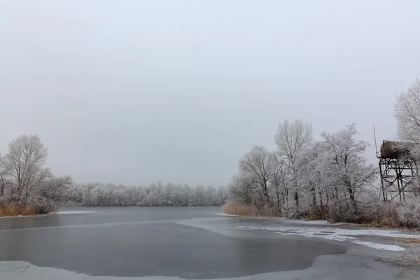 冬の湖で forest.ice で — ストック写真