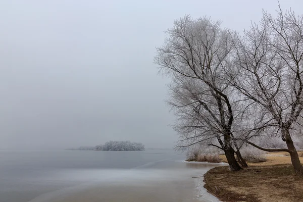 Ensam island.ice på sjön — Stockfoto