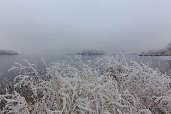 Ensam dimmigt island.ice på sjön — Stockfoto