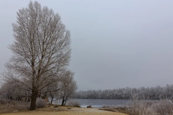 冬。川を氷します。 — ストック写真