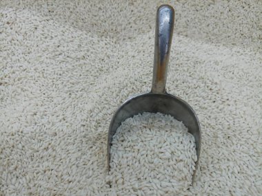 Çelik pirinç kepçesinin kapağı pirincin içine yerleştirilir..