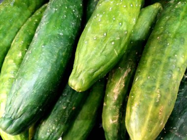 Taze salatalık yakın çekim