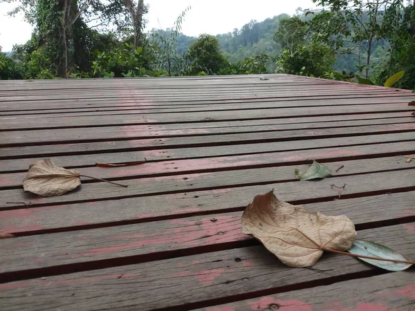 Vecchio Ponte Legno Foglia Secca Nella Foresta — Foto Stock