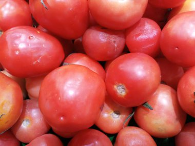 Taze domatesin kapanışı. Taze sebze..