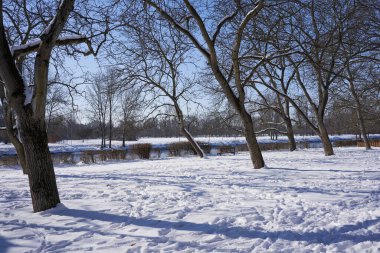 Nehir kenarındaki karlı kış öğleden sonra - 14 Şubat 2021. 