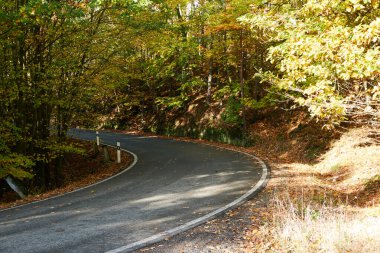 Sonbahar geliyor. Sık sık yağmur yağar ve patlar. Ağaçlar güzel renklerle boyanmıştır. Ekim 2020. Güzel manzara yapraklardan yapılmış bir yorganla kaplıdır ve ülkemiz birçok renkle oynamaya başlar..
