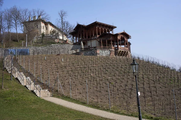 Prag, Çek Cumhuriyeti - 26 Mart 2021 - Park Grebovka - Büyüleyici şarap barı Altn Grbovka                               