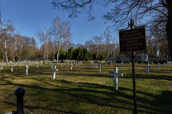 Prague Czech Republic March 2021 Olsany Cemeteries Military Cemetery Honorary — Stockfoto