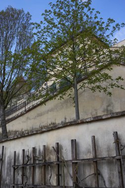 Prag, Çek Cumhuriyeti - 23 Nisan 2021 - Prag Kalesi yakınlarındaki güneşli bir bahar öğleden sonrasında Büyük Frstenberg Bahçesi.                               