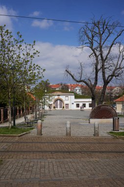 Prag, Çek Cumhuriyeti - 23 Nisan 2021 - Sophie Chotkova hayranı - Çek ve dünya tarihinin bu önemli şahsiyetine adanmış bir heykel                               