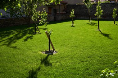 Kolin, Çek Cumhuriyeti - 22 Mayıs 2021 - St. Bartholomew Kilisesi - Parkan 'da bahçeler, şehir merkezinde eşsiz bir dinlenme alanı.                               