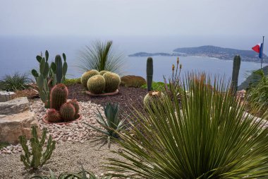    Eze, Fransa - 17 Haziran 2021 - Jardin d 'Eze, güneşli bahar öğleden sonraları etkileyici kaktüs ve sulu su koleksiyonuyla tanınır.                               