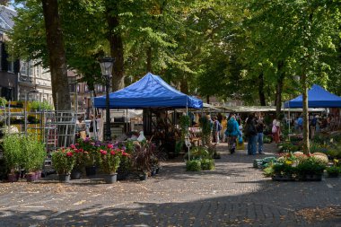Utrecht, Hollanda - 30 Ağustos 2025 - Avrupa şehir meydanında insan ve bitkilerle birlikte açık hava çiçek pazarı                               