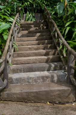 Vara Blanca, Kosta Rika - 14 Kasım 2024 - La Paz Şelale Bahçeleri Doğa Parkı - yemyeşil bir tropikal bahçede eşsiz bir ahşap korkuluğu olan taş merdiven                               