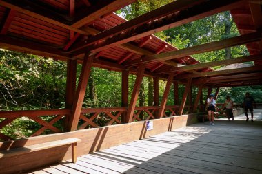 Brno, Çek Cumhuriyeti - 16 Ağustos 2025 - Veveri Kalesi 'nde yaprakların arasından süzülen benekli güneş ışığıyla yemyeşil orman boyunca tahta köprü