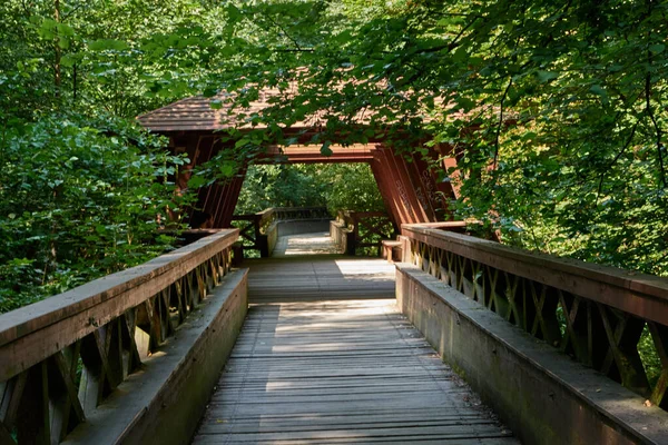Brno, Çek Cumhuriyeti - 16 Ağustos 2025 - Veveri Kalesi 'nde yaprakların arasından süzülen benekli güneş ışığıyla yemyeşil orman boyunca tahta köprü