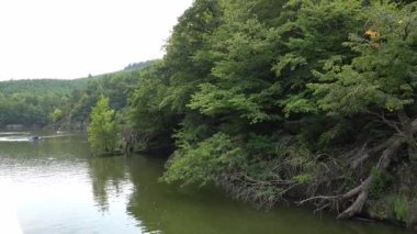Brno, Çek Cumhuriyeti - 16 Ağustos 2025 - Brno Barajı - Berrak bir günde yemyeşil ağaçlar ve kayalık kıyılarla çevrili sakin bir barajda tekne gezisi