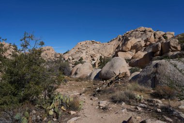 Joshua Tree Ulusal Parkı, CA, ABD - 19 Ekim 2025 - Barker Barajı Doğa Patikası - Geniş çöl manzarası Büyük kayalar ve seyrek mavi gökyüzü altında bitki örtüsü