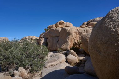 Joshua Tree Ulusal Parkı, CA, ABD - 19 Ekim 2025 Açık mavi çöl gökyüzü altında yükselen granit kaya oluşumları