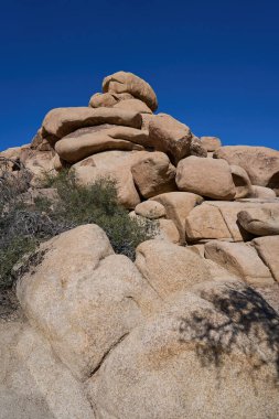 Joshua Tree Ulusal Parkı, CA, ABD - 19 Ekim 2025 Açık mavi çöl gökyüzü altında yükselen granit kaya oluşumları