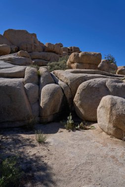 Joshua Tree Ulusal Parkı, CA, ABD - 19 Ekim 2025 Açık mavi çöl gökyüzü altında yükselen granit kaya oluşumları