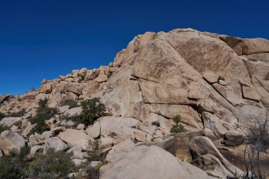Joshua Tree Ulusal Parkı, CA, ABD - 19 Ekim 2025 Açık mavi çöl gökyüzü altında yükselen granit kaya oluşumları