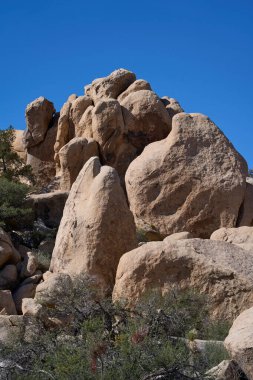 Joshua Tree Ulusal Parkı, CA, ABD - 19 Ekim 2025 Açık mavi çöl gökyüzü altında yükselen granit kaya oluşumları