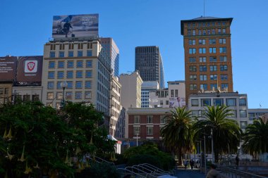 San Francisco, ABD - 28 Ekim 2025 - Açık mavi gökyüzü altında çeşitli mimari ve yemyeşil San Francisco şehir manzarası