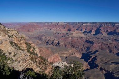 Büyük Kanyon, ABD - 20 Ekim 2025 - Katmanlı kaya oluşumları ve seyrek bitki örtüsü ile açık mavi gökyüzü altında Büyük Kanyon manzarası