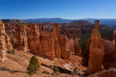 Bryce Canyon, Utah, ABD - 21 Ekim 2025 Bryce Canyon Ulusal Parkı 'nda açık mavi gökyüzü altında devasa turuncu kabadayılar ve kanyonlar