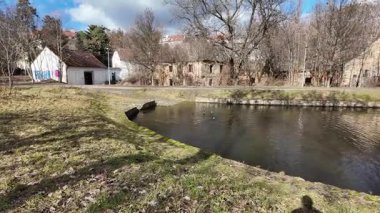 Prag, Çek Cumhuriyeti - 23 Şubat 2026 - Çıplak ağaçlarla dolu güzel bir gölet ve parlak mavi gökyüzünün altında küçük bir bina