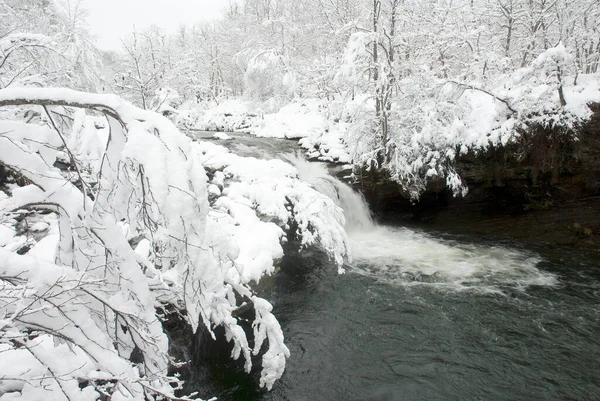 Bayas Nehri 'nin karlı manzarası. Gorbeia Doğal Parkı, Alava, Bask Ülkesi, İspanya