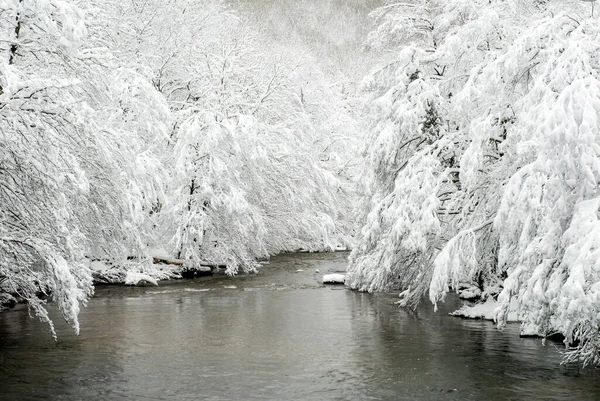 Bayas Nehri 'nin karlı manzarası. Gorbeia Doğal Parkı, Alava, Bask Ülkesi, İspanya