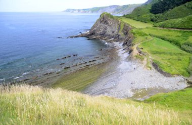 Sakoneta Körfezi 'ndeki sinek, Deba, Pais Vasco, İspanya