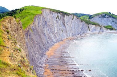 Sakoneta Körfezi 'ndeki sinek, Deba, Pais Vasco, İspanya