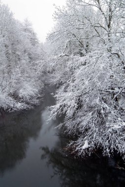 Bayas Nehri 'nin karlı manzarası. Gorbeia Doğal Parkı, Alava, Bask Ülkesi, İspanya