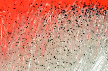 Rhizopus sp çürüyen yiyeceklerle büyüyen bir küf. Bu resimde sporlarını görebilirsiniz, spor üreticileri.