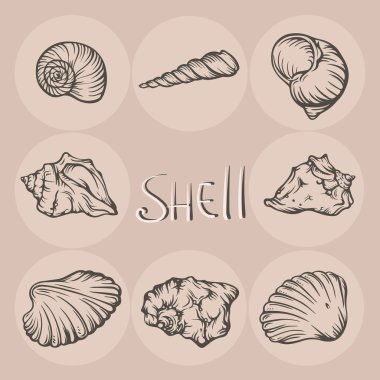 Bej renkli arka plan üzerinde elle çizilmiş seashells kümesi.